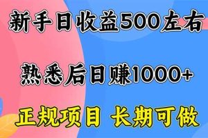 （16132期）新手日收益500+ 正规项目 长期可做