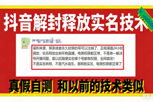 (16856期)12月抖音解封释放实名技术,真假自测 和以前的技术类似