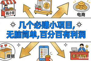 （16956期）9个必赚小项目，无脑简单，百分百有利润，副业首选，日入200+